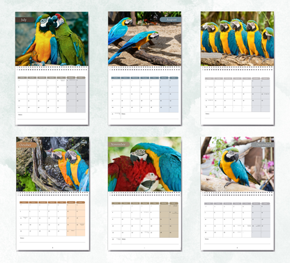 Parrot Calendar 2026