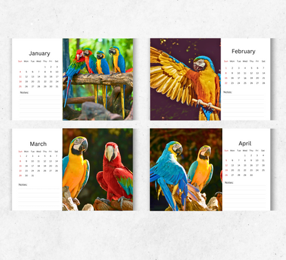 Parrot Desk Calendar 2026-2027