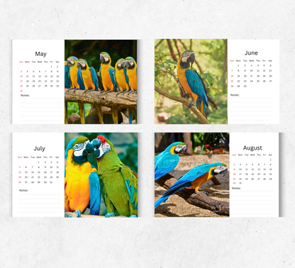Parrot Desk Calendar 2026-2027