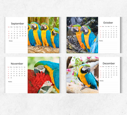 Parrot Desk Calendar 2026-2027