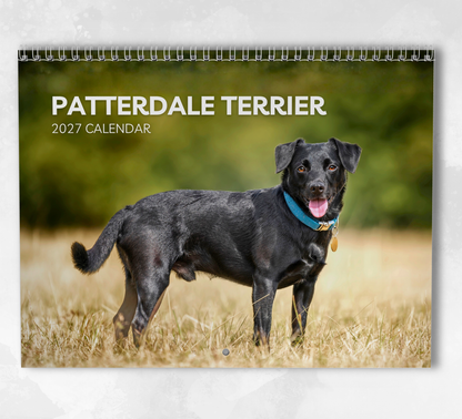 Patterdale Terrier Calendar 2027