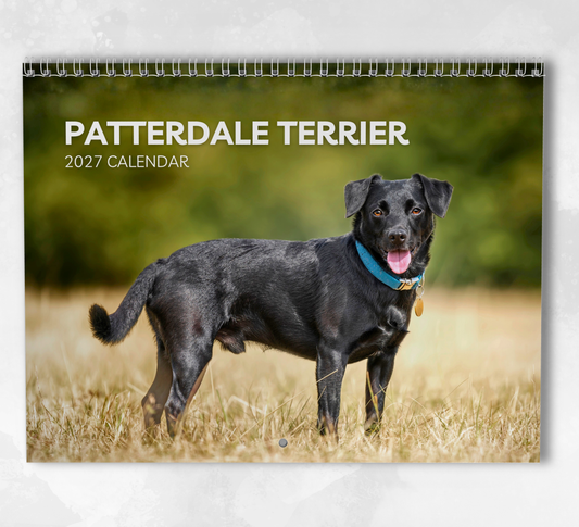 Patterdale Terrier Calendar 2027