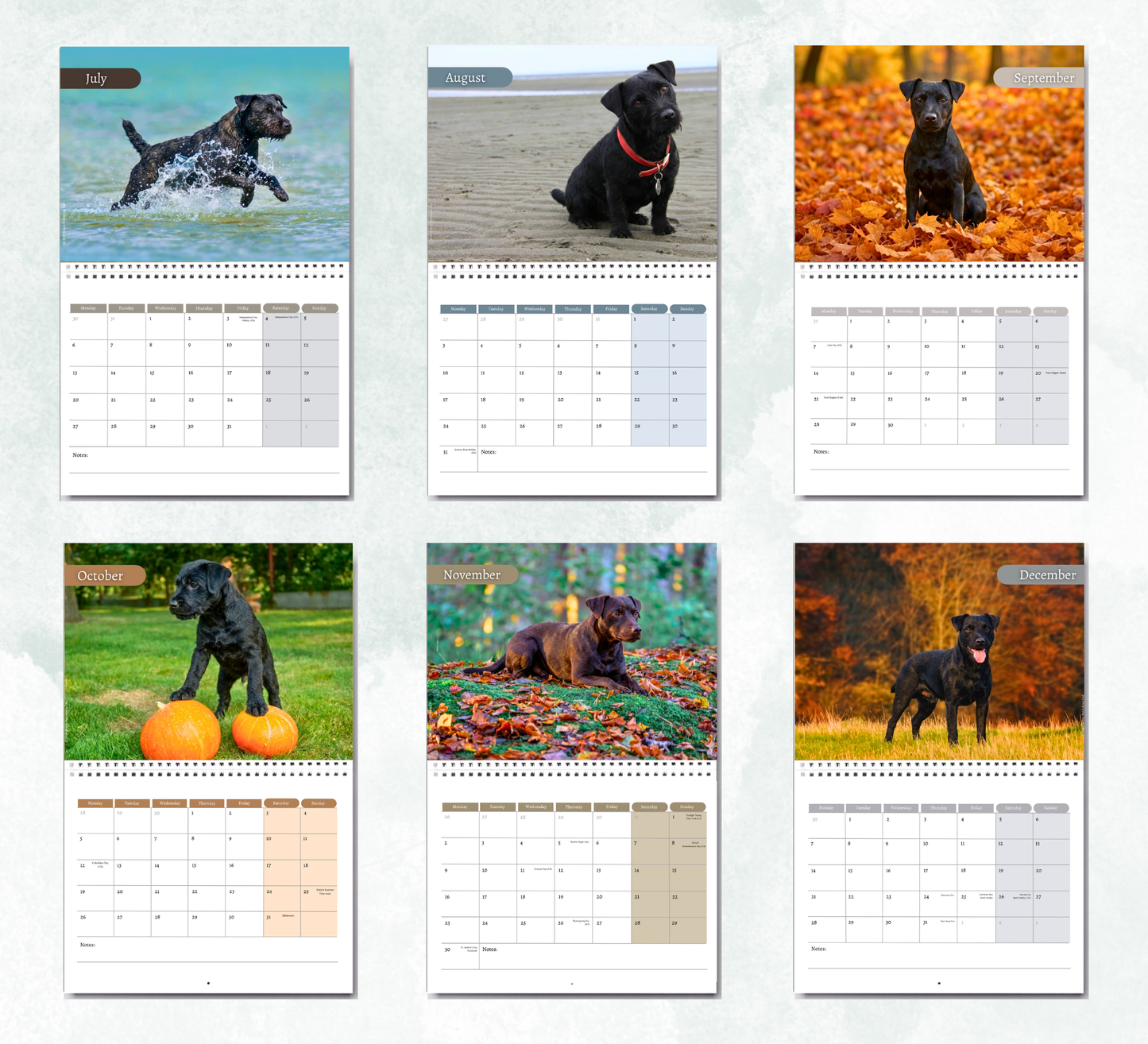 Patterdale Terrier Calendar 2027