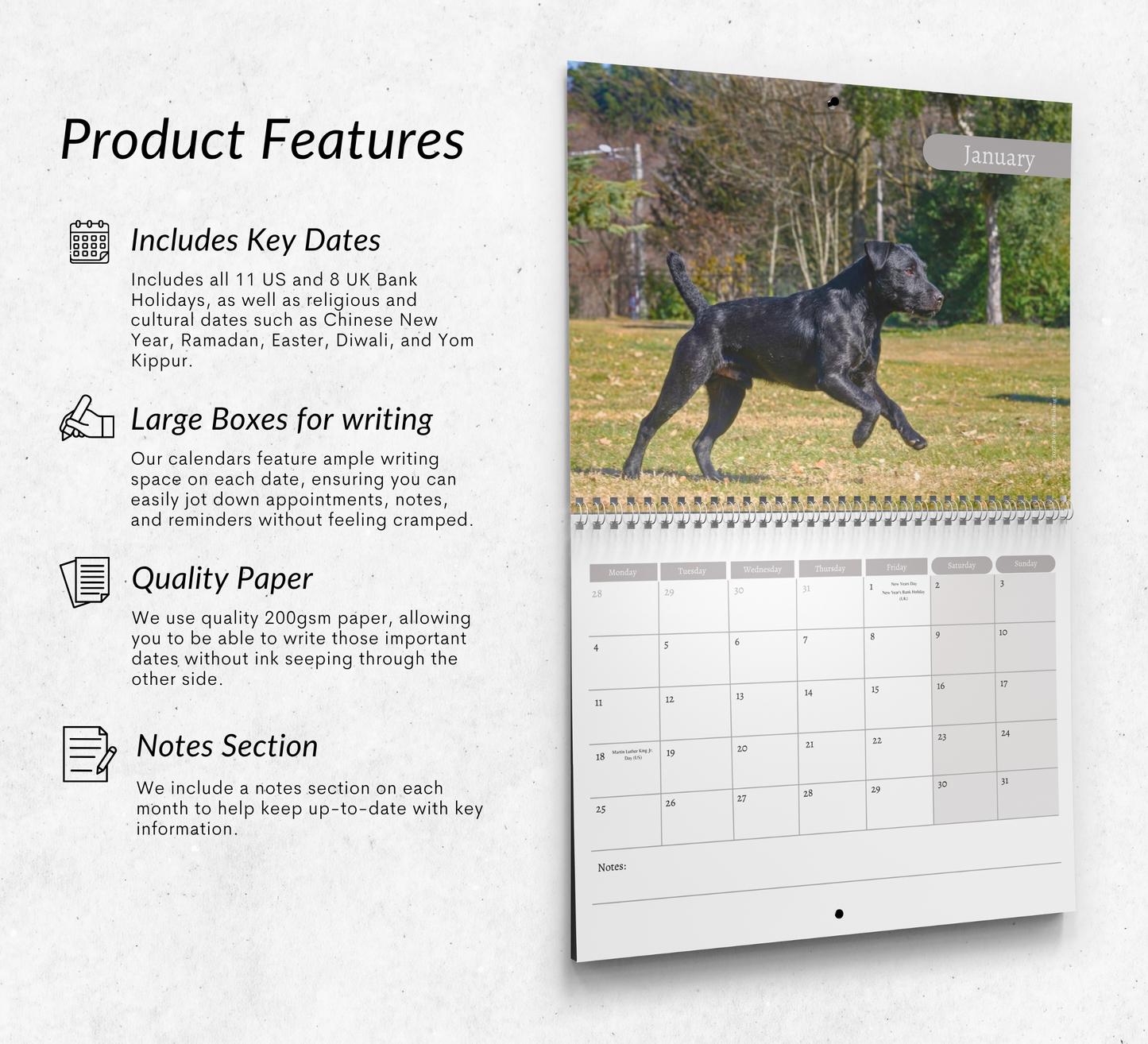 Patterdale Terrier Calendar 2027