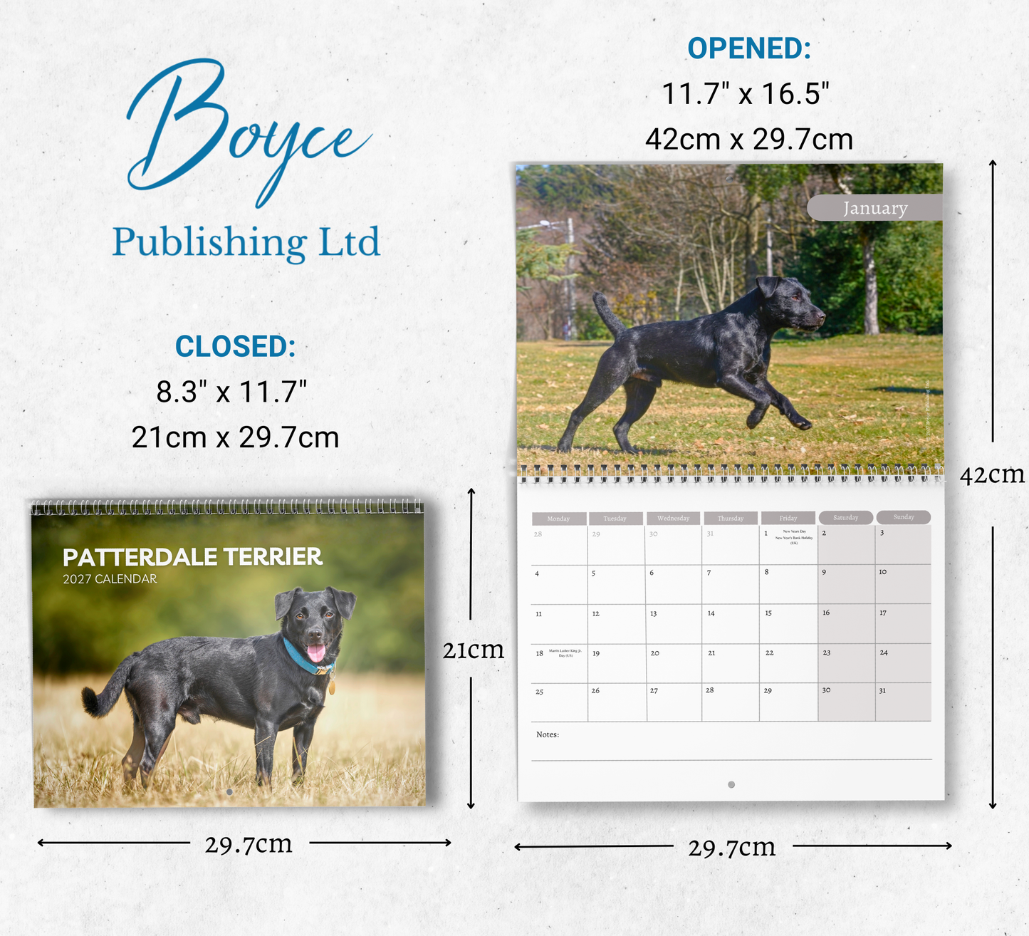 Patterdale Terrier Calendar 2027