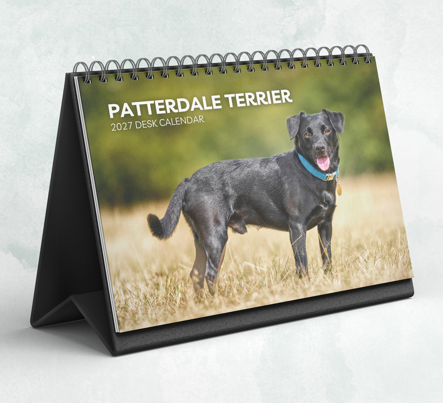 Patterdale Terrier Desk Calendar 2027-2028