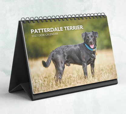 Patterdale Terrier Desk Calendar 2027-2028