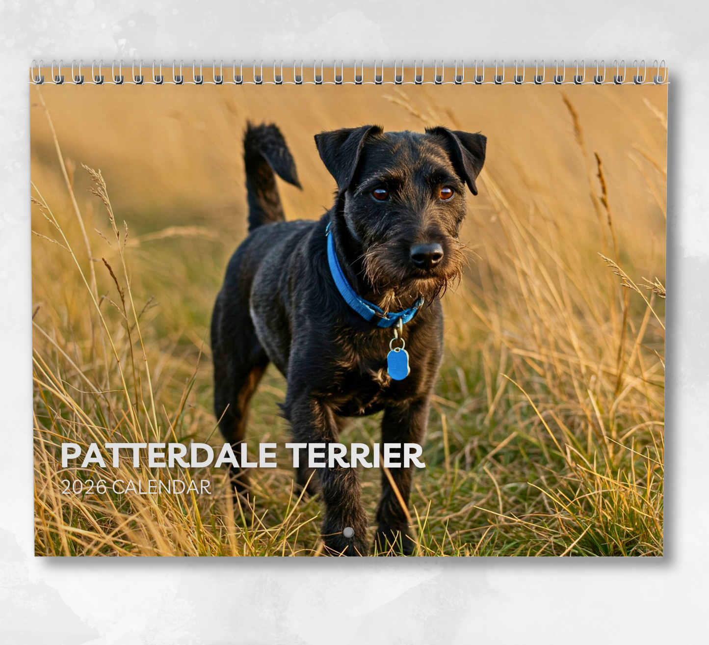 Patterdale Terrier Calendar 2026