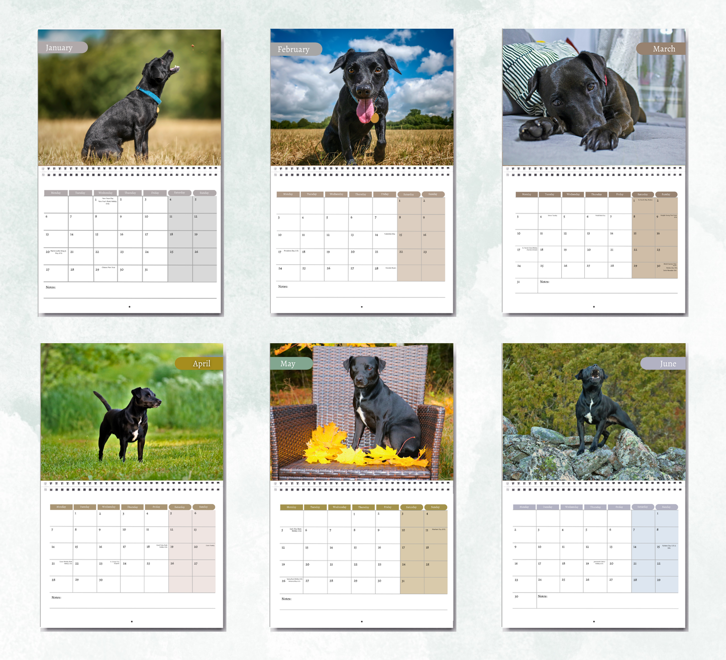Patterdale Terrier Calendar 2026