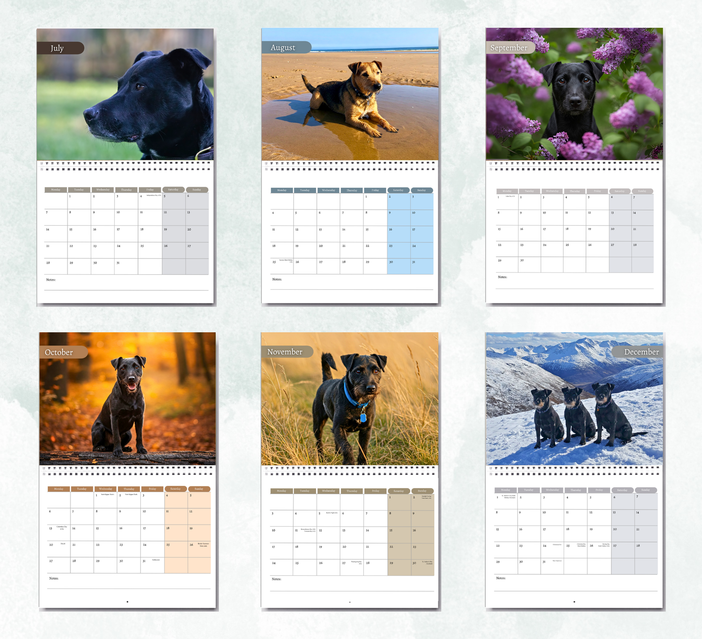 Patterdale Terrier Calendar 2026