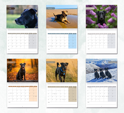 Patterdale Terrier Calendar 2026