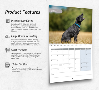Patterdale Terrier Calendar 2026