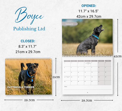 Patterdale Terrier Calendar 2026