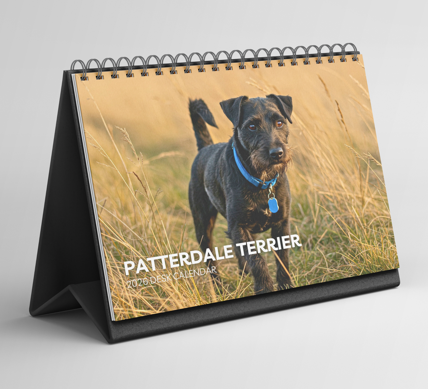 Patterdale Terrier Desk Calendar 2026-2027
