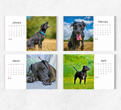 Patterdale Terrier Desk Calendar 2026-2027