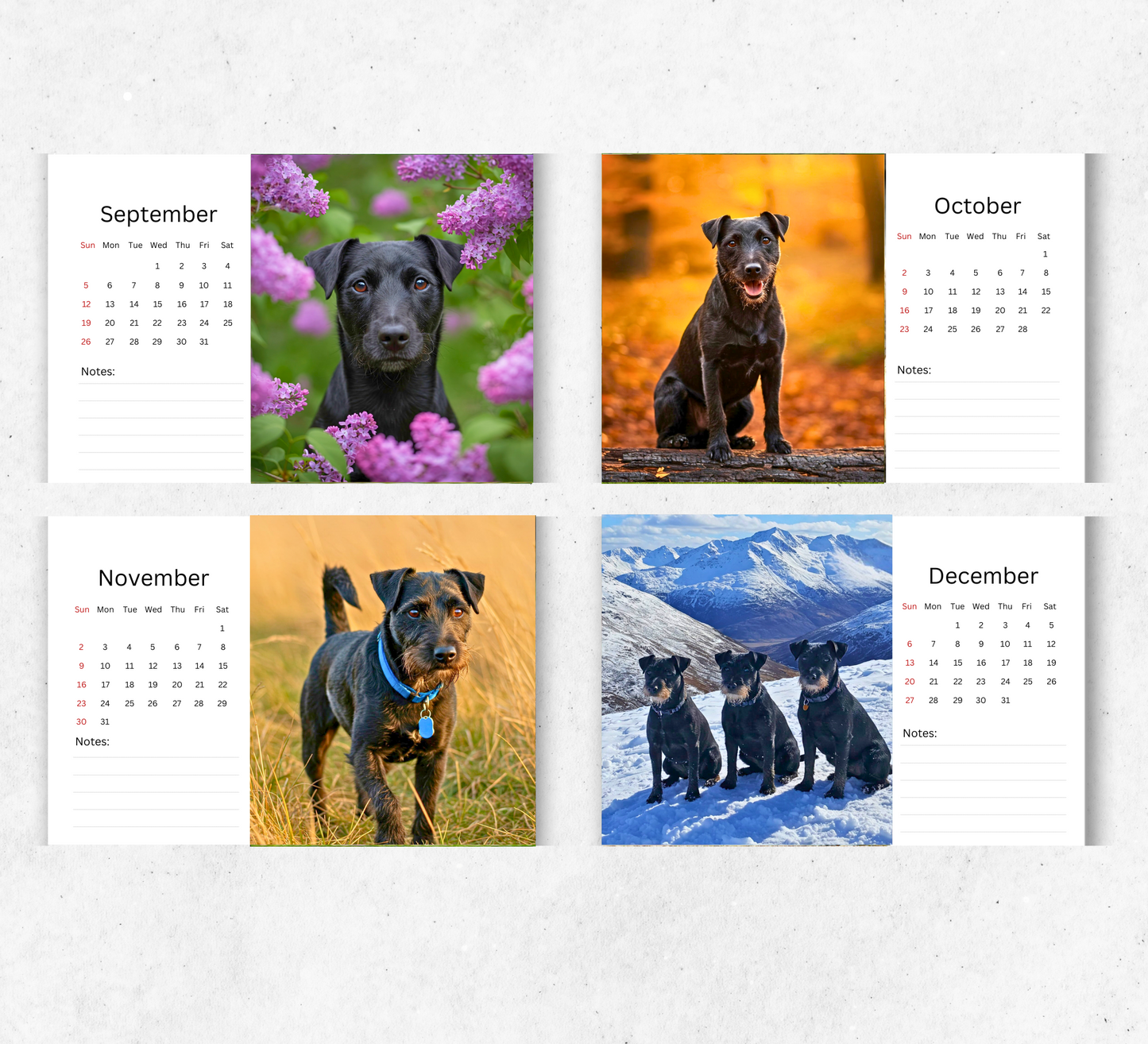 Patterdale Terrier Desk Calendar 2026-2027