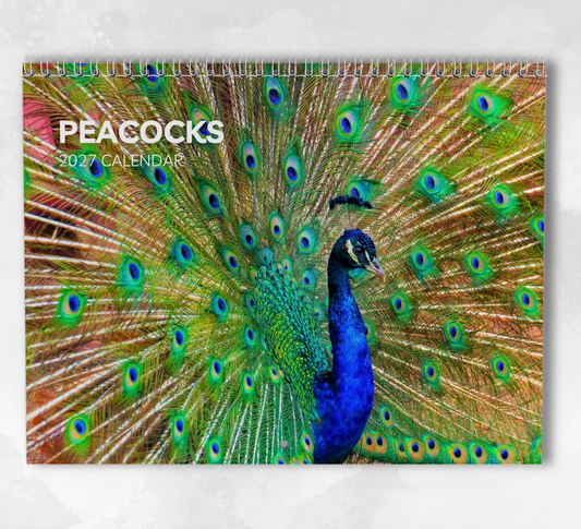Peacock Calendar 2027