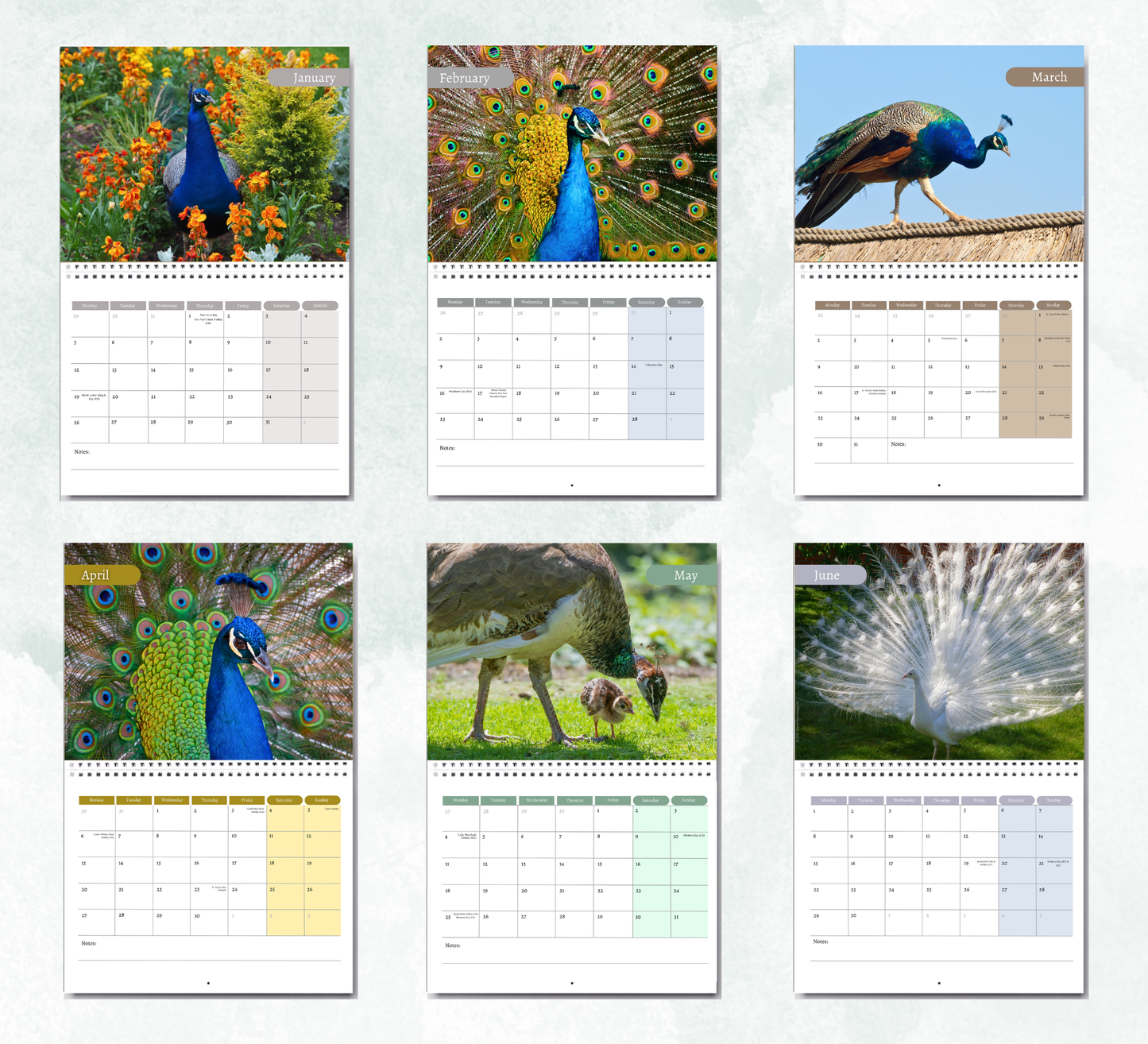 Peacock Calendar 2027