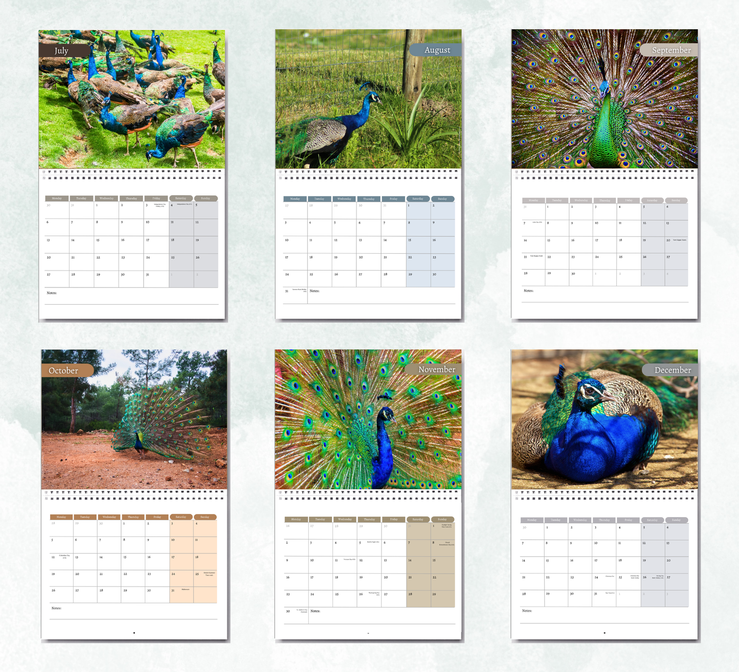 Peacock Calendar 2027