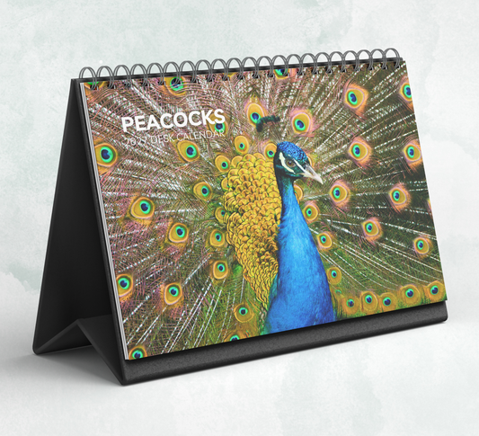 Peacock Desk Calendar 2027-2028