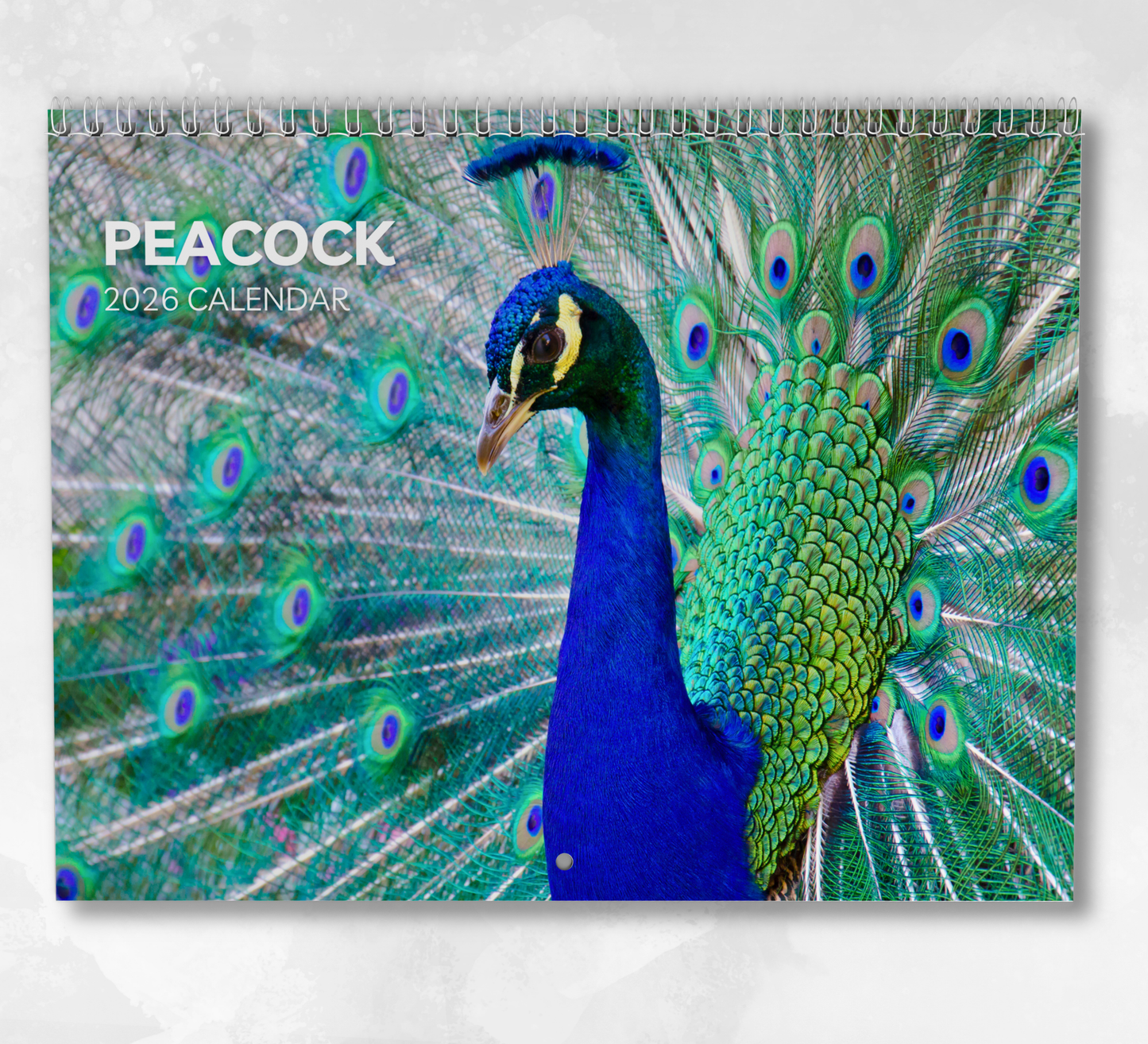 Peacock Calendar 2026