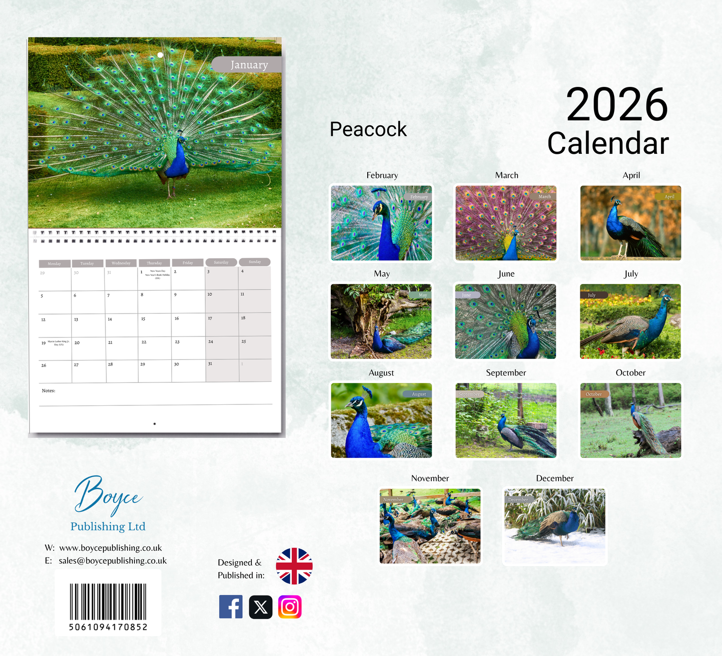 Peacock Calendar 2026