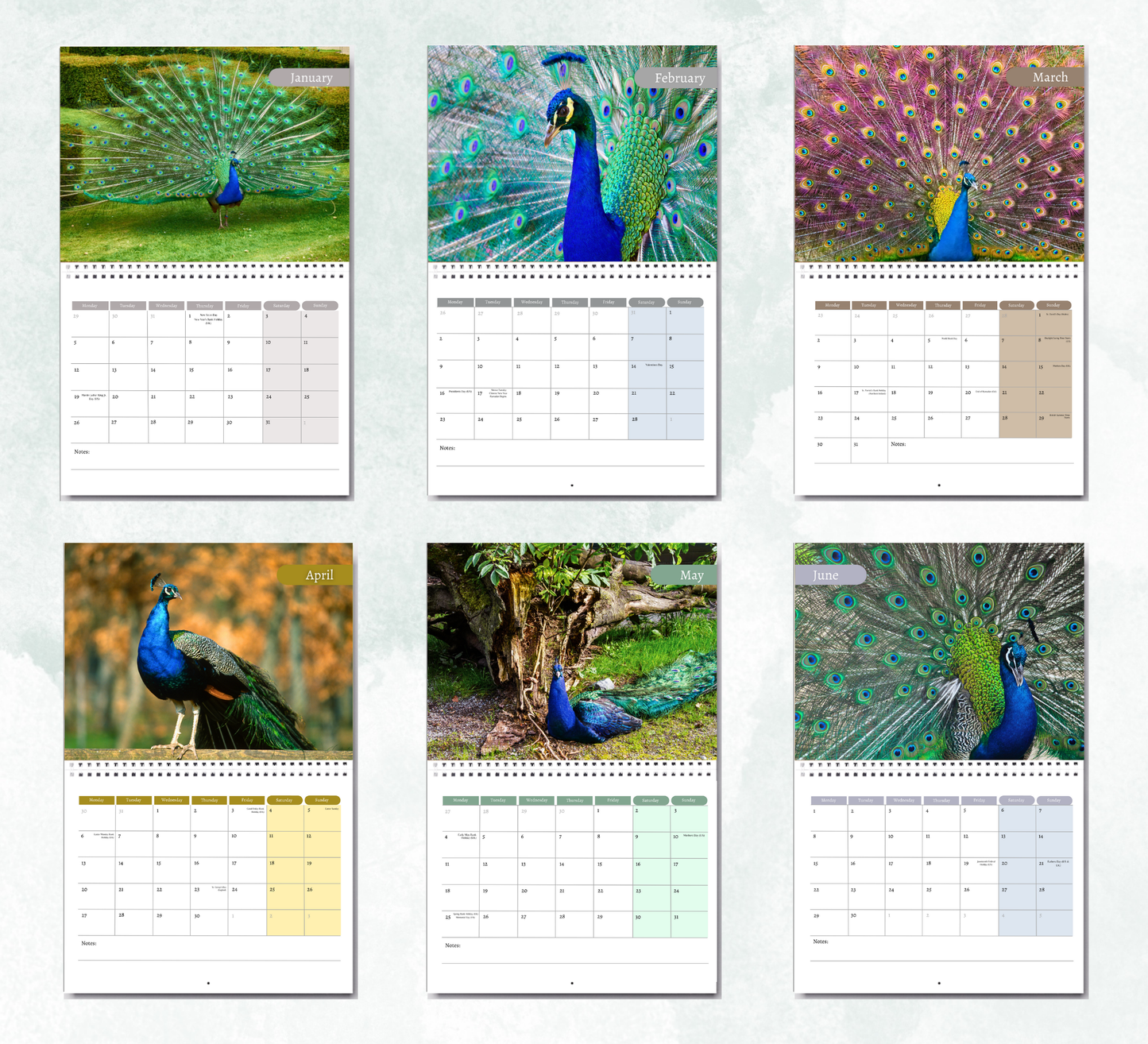Peacock Calendar 2026