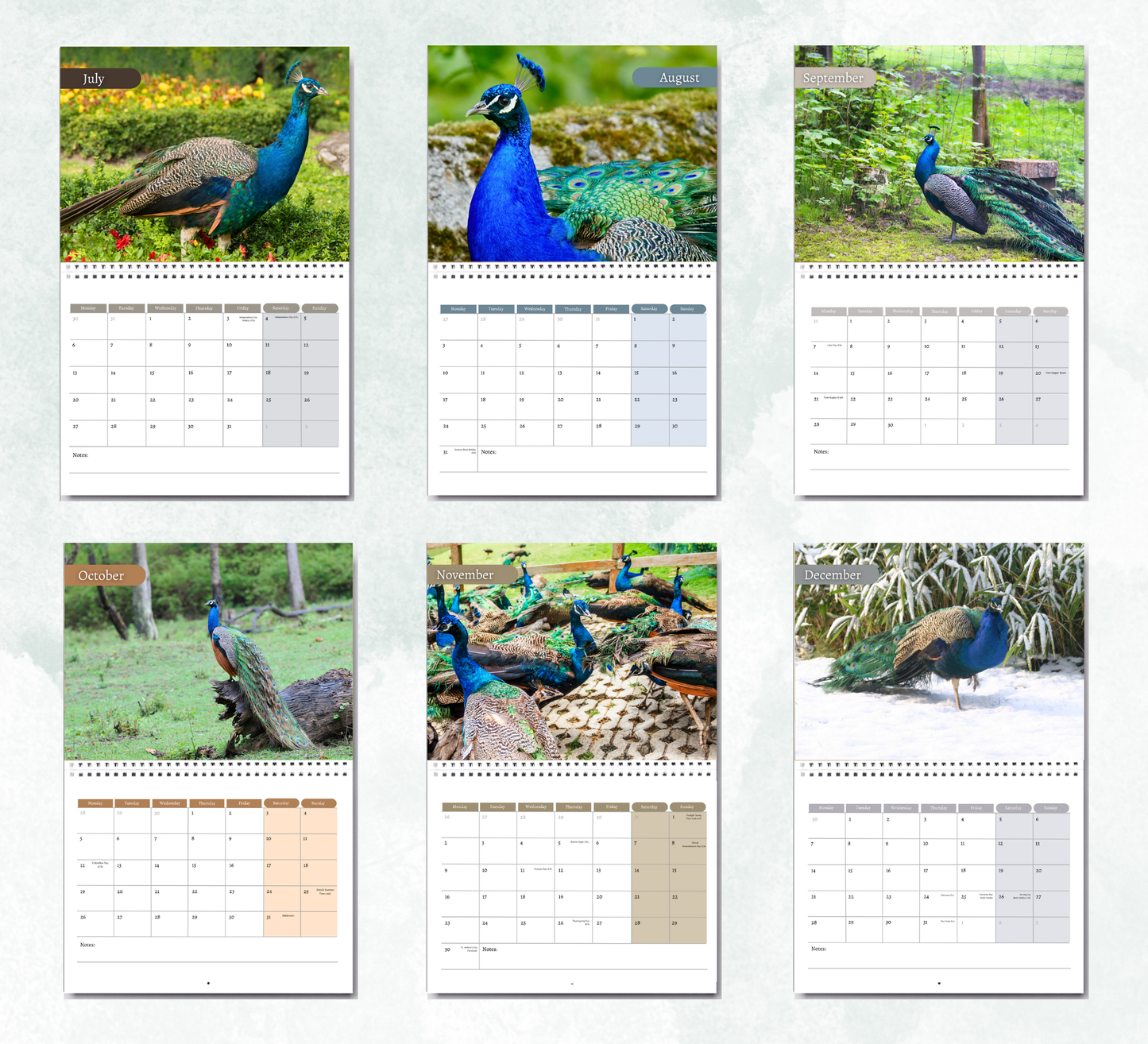 Peacock Calendar 2026