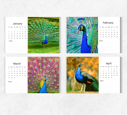 Peacock Desk Calendar 2026-2027