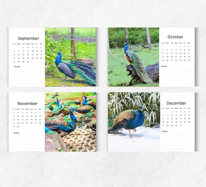 Peacock Desk Calendar 2026-2027