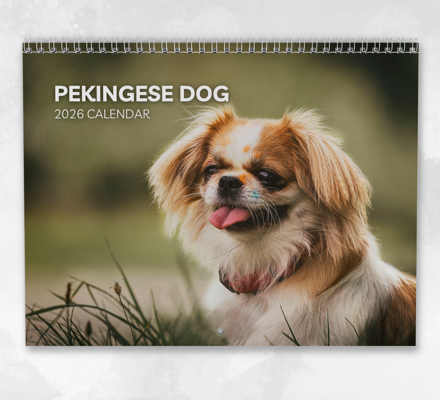 Pekingese Dog Calendar 2026