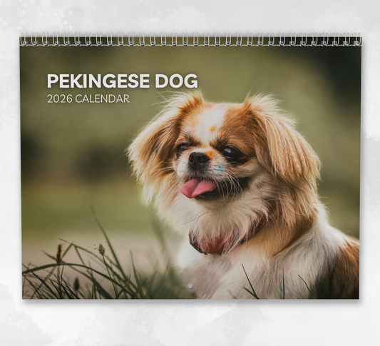 Pekingese Dog Calendar 2026