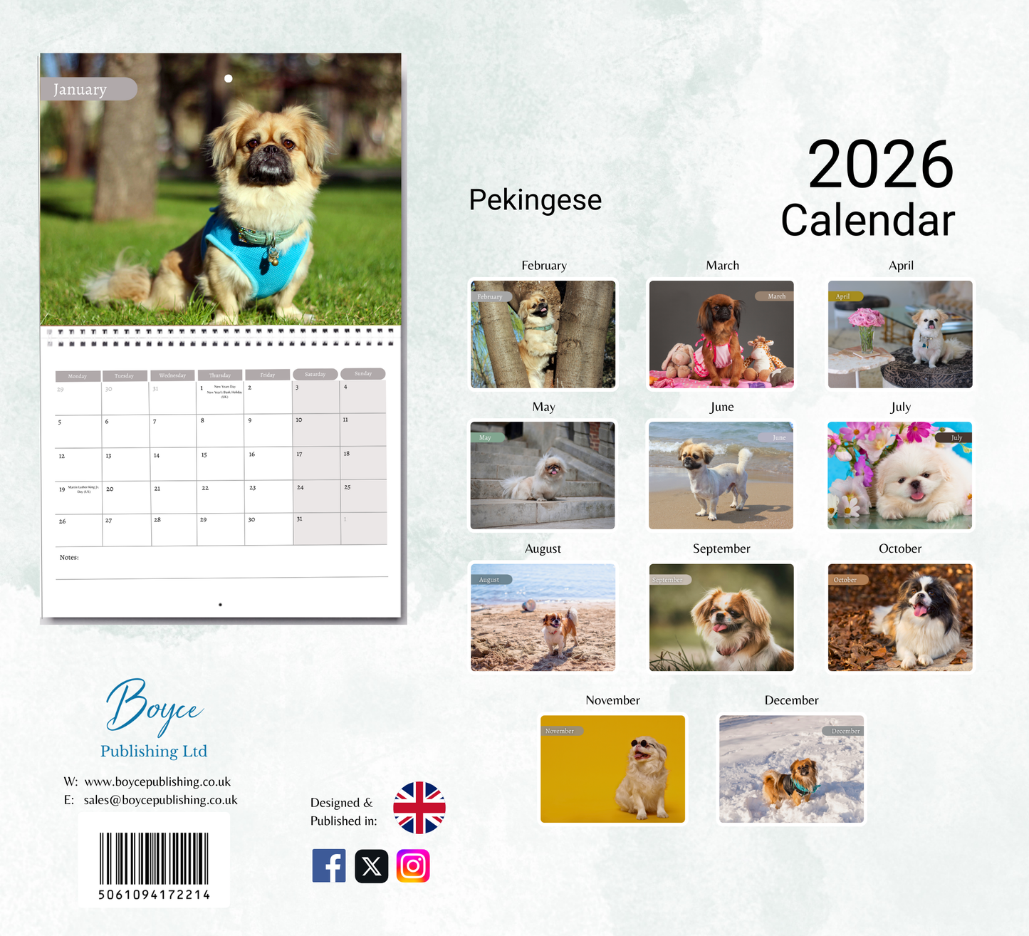 Pekingese Dog Calendar 2026