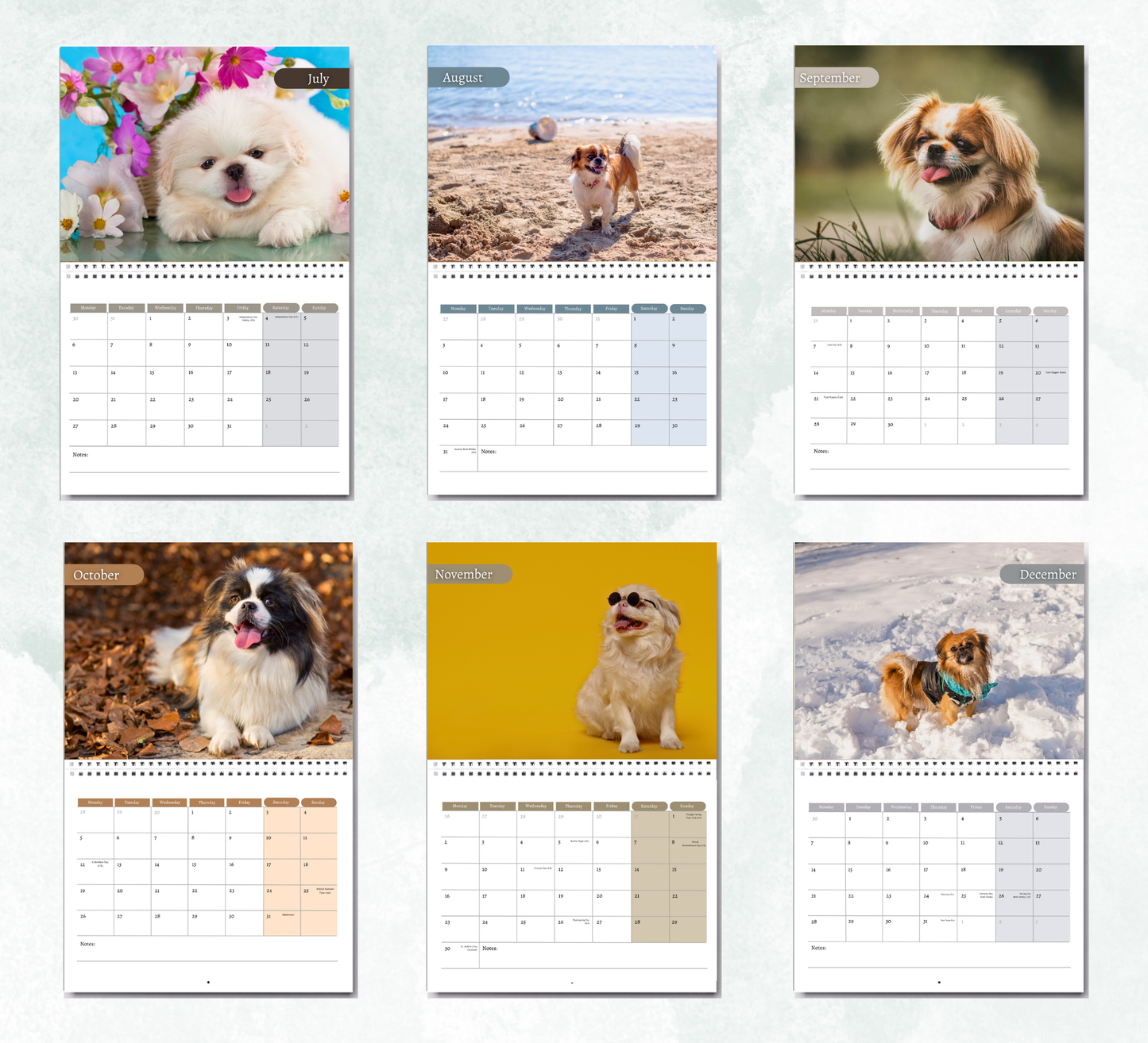 Pekingese Dog Calendar 2026