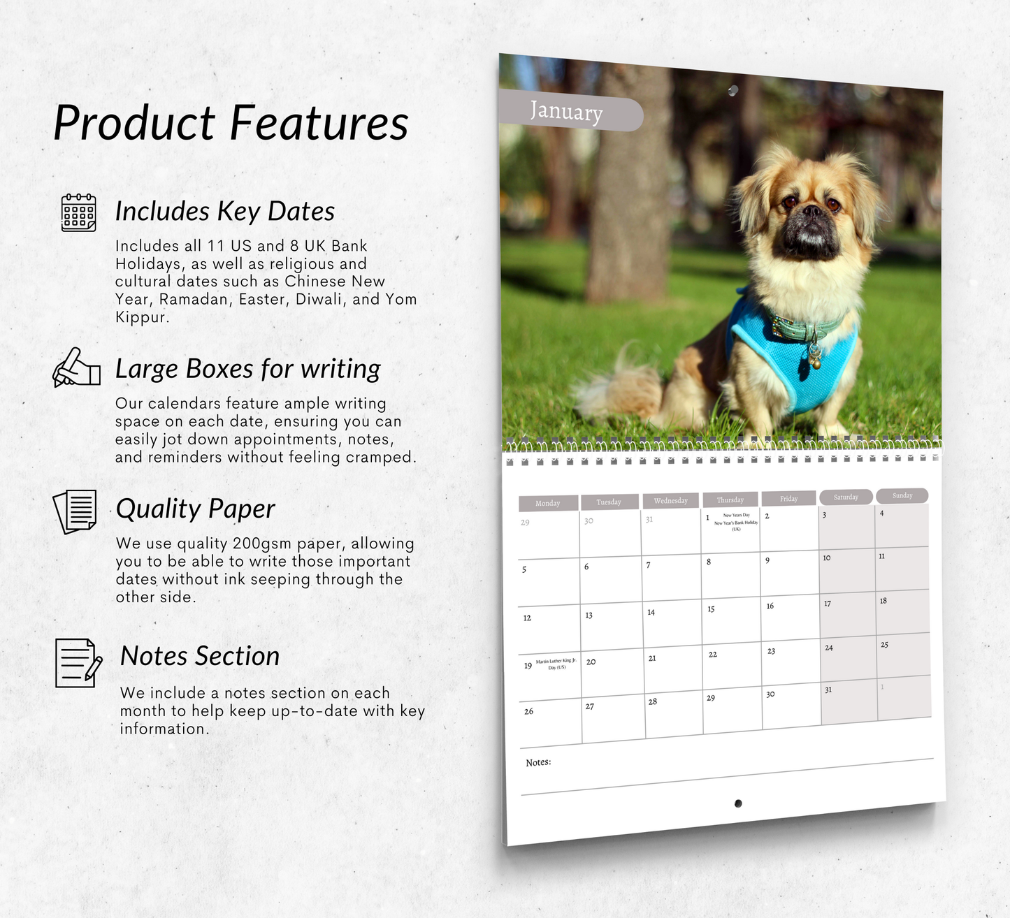 Pekingese Dog Calendar 2026