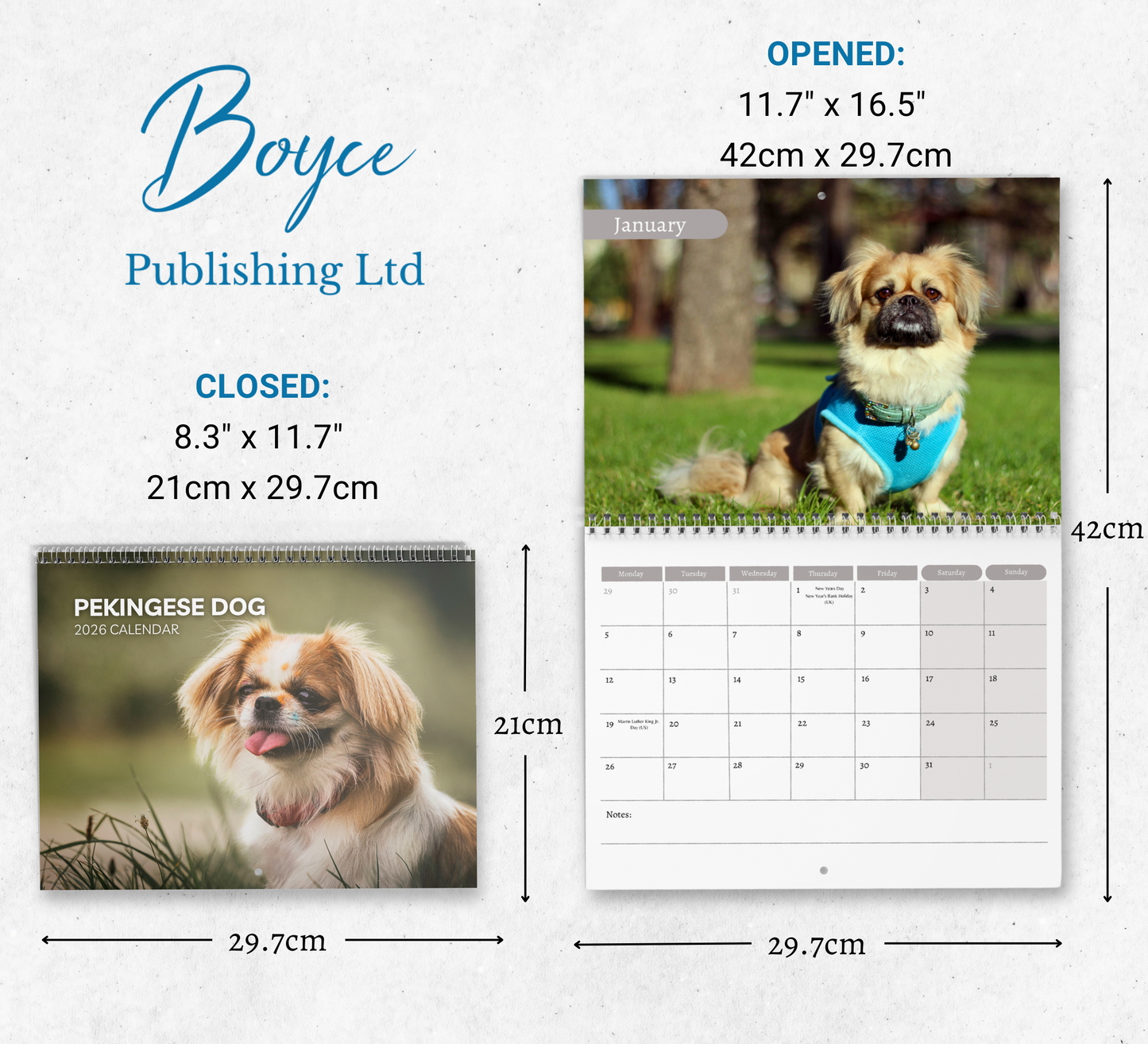 Pekingese Dog Calendar 2026