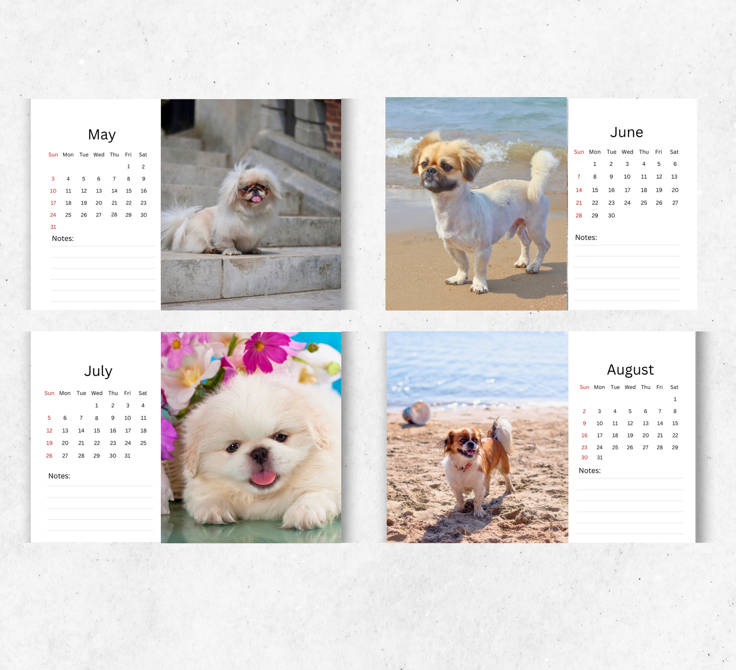 Pekingese Dog Desk Calendar 2026-2027
