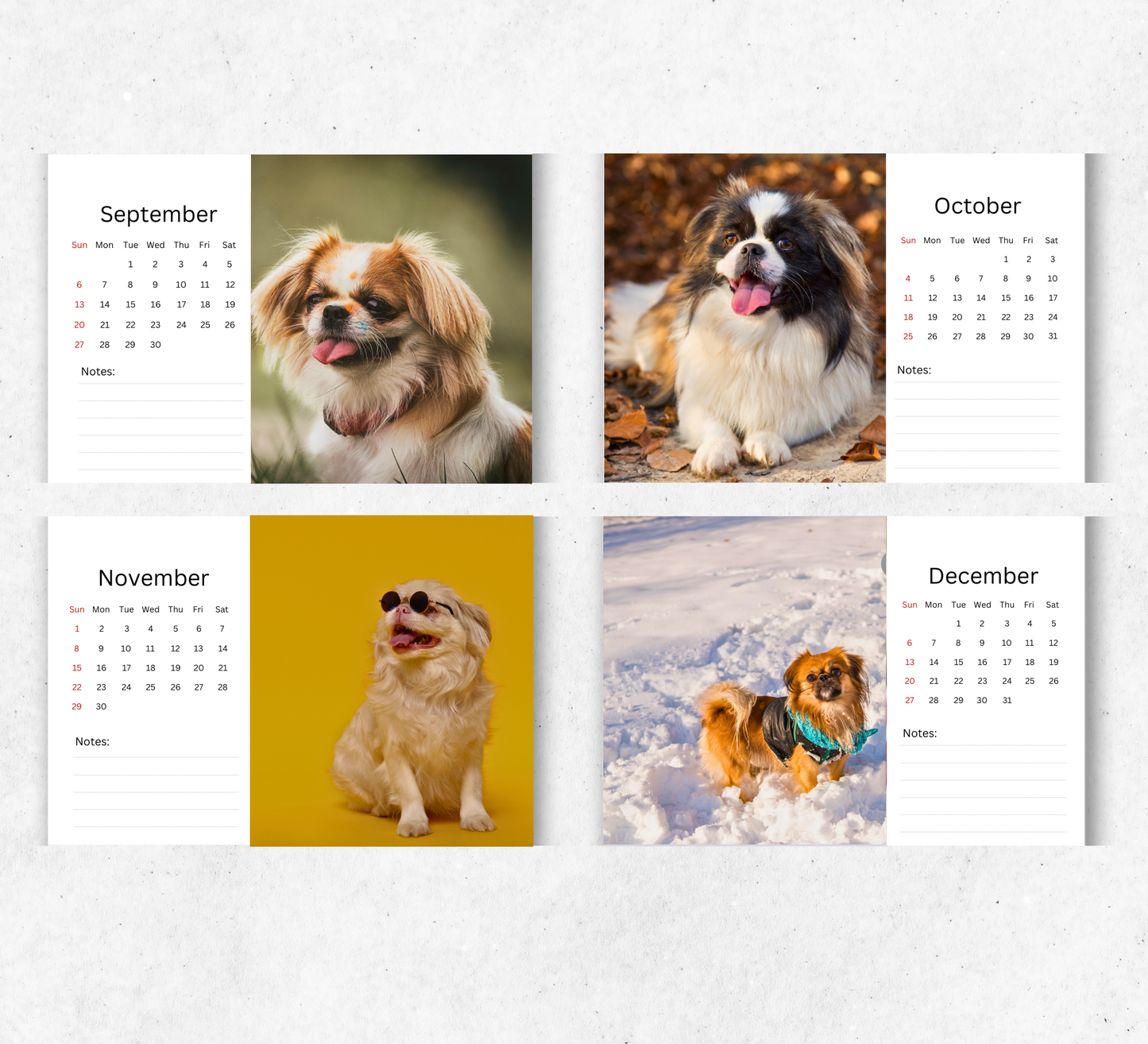 Pekingese Dog Desk Calendar 2026-2027