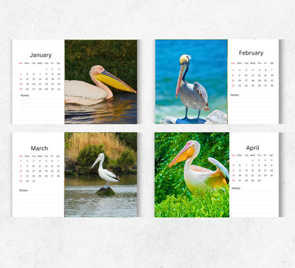 Pelican Desk Calendar 2026-2027