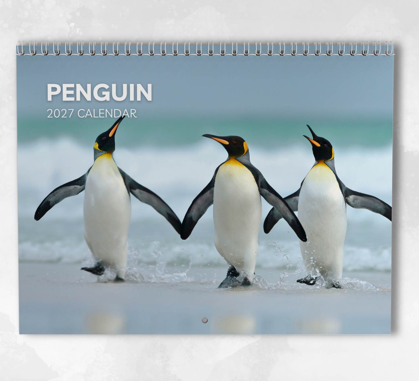 Penguin Calendar 2027