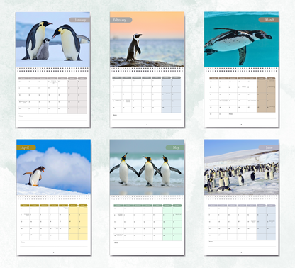 Penguin Calendar 2027