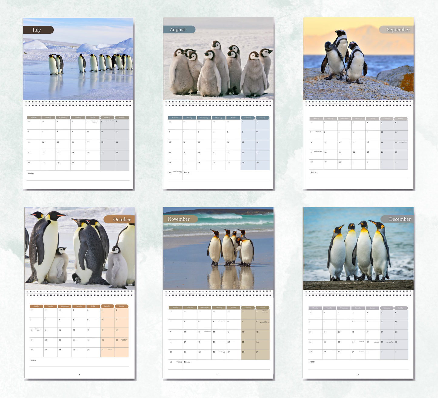 Penguin Calendar 2027