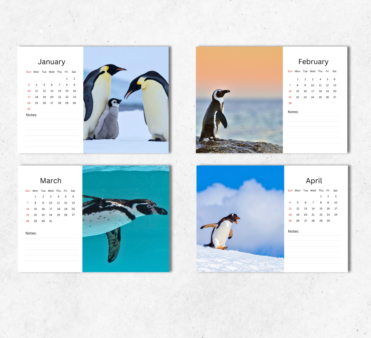 Penguin Desk Calendar 2027-2028