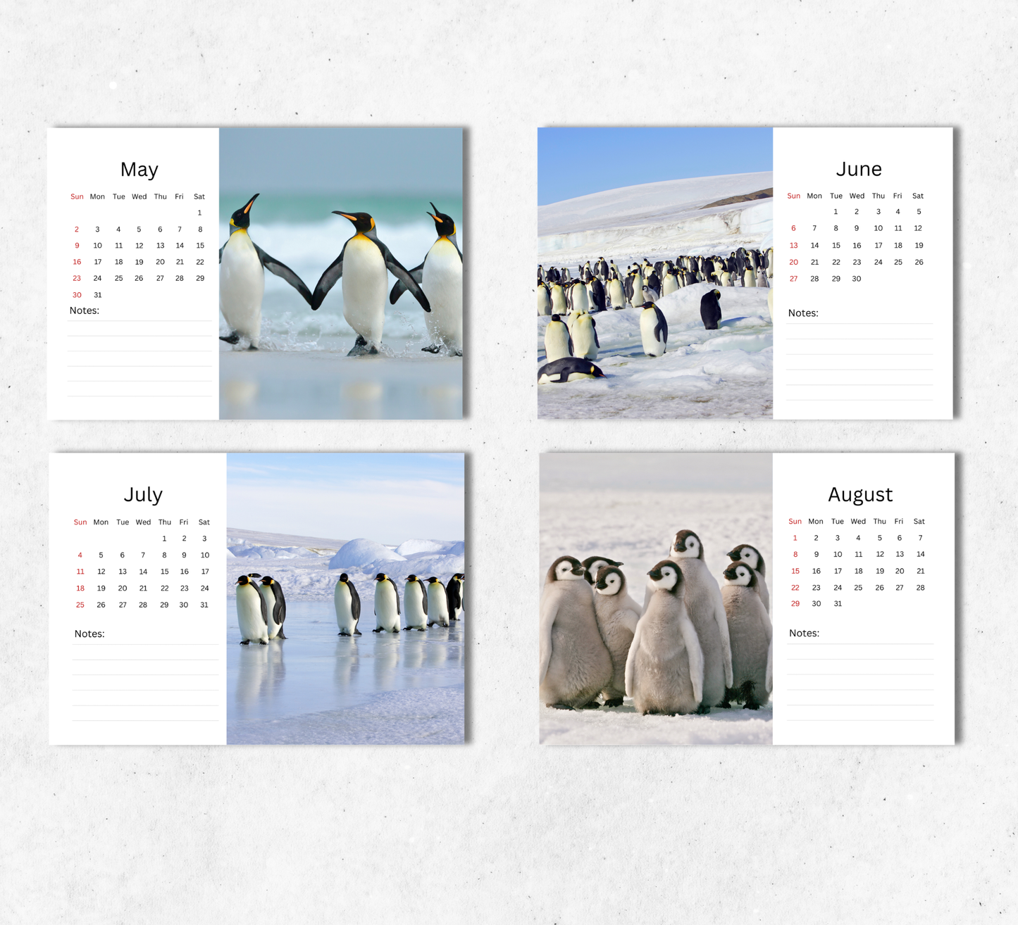 Penguin Desk Calendar 2027-2028