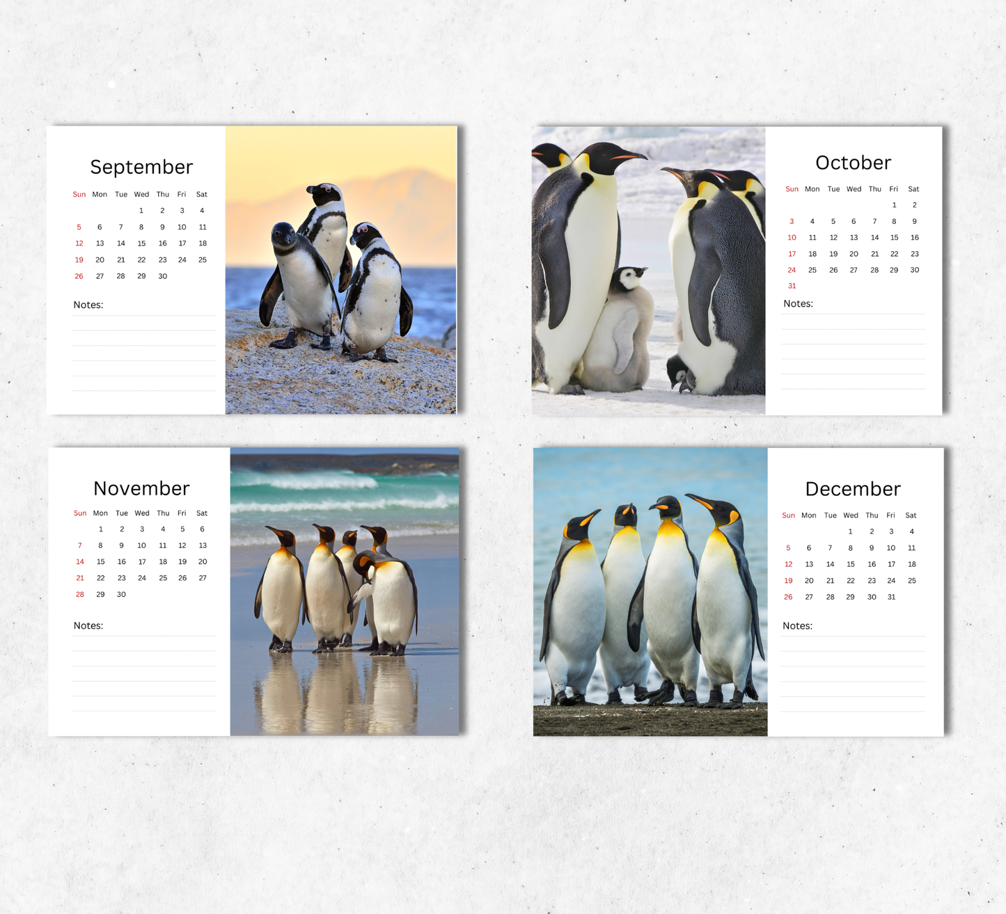 Penguin Desk Calendar 2027-2028
