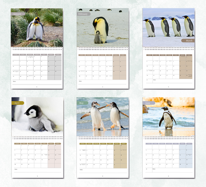 Penguin Calendar 2026