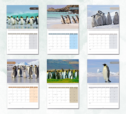 Penguin Calendar 2026