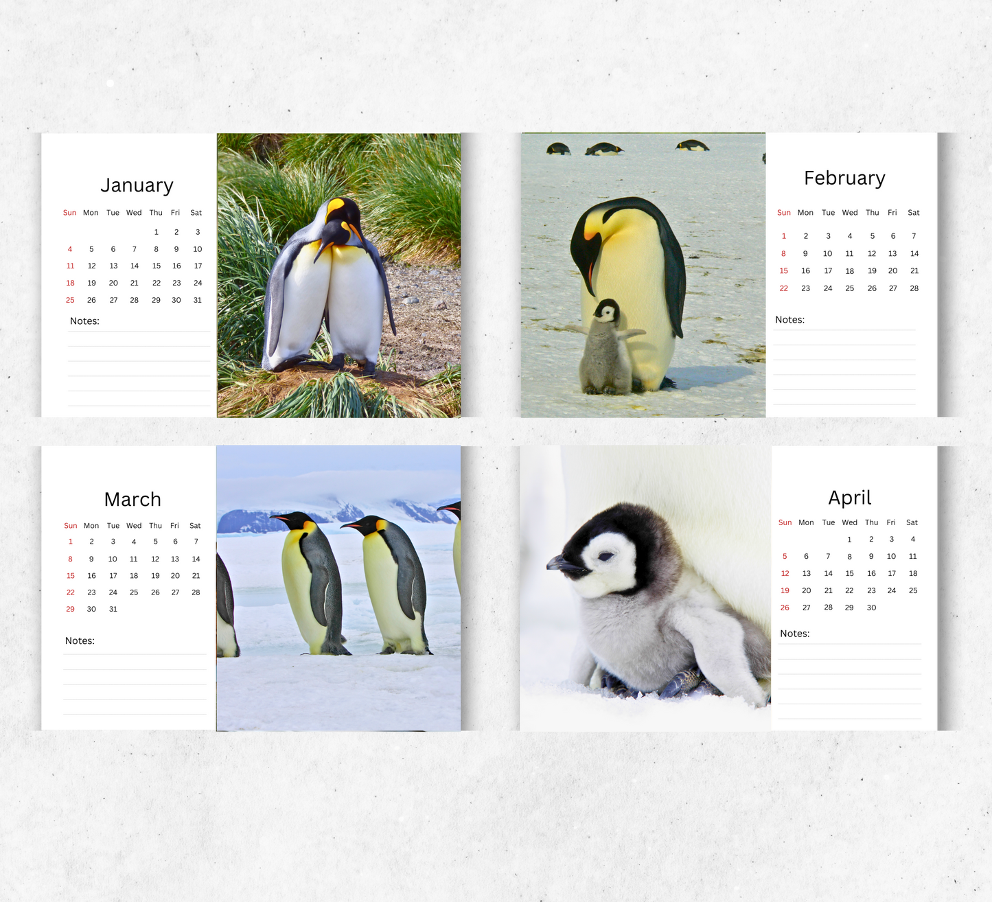 Penguin Desk Calendar 2026-2027