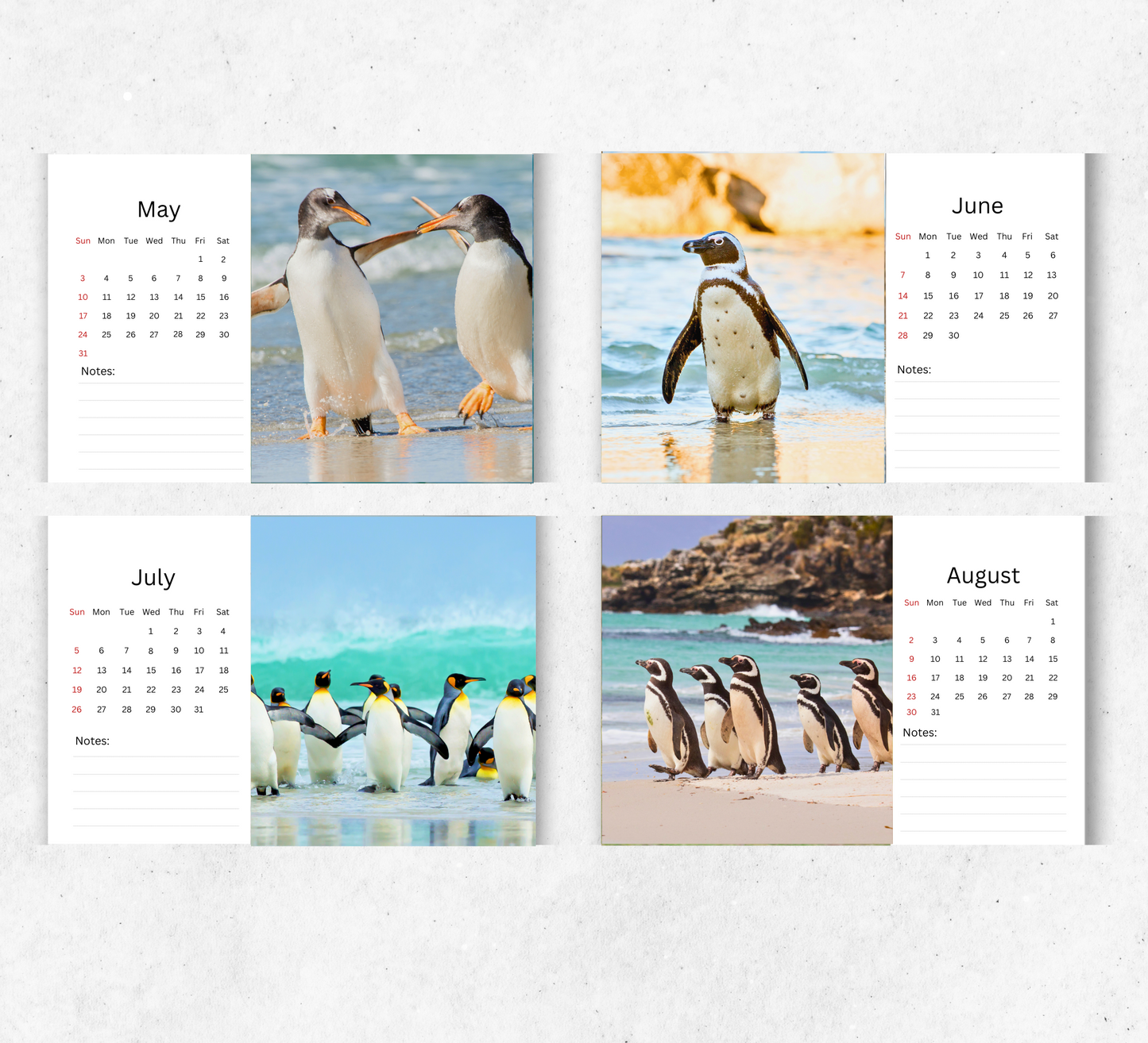 Penguin Desk Calendar 2026-2027