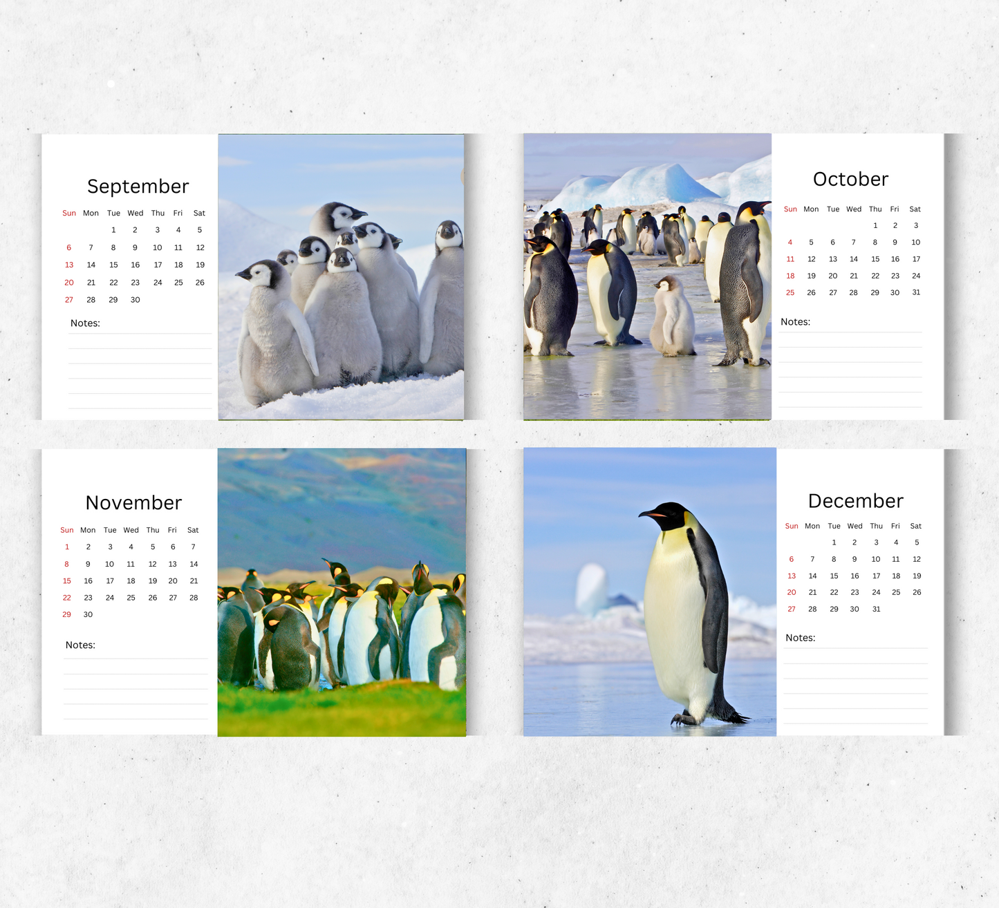 Penguin Desk Calendar 2026-2027
